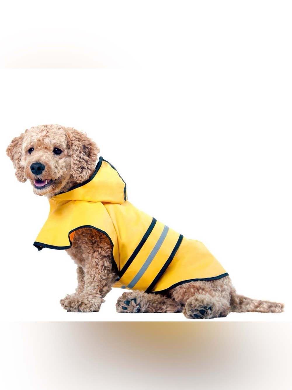 Pet Rainy Days Slicker Yellow Raincoat classic waterproof poncho size Medium